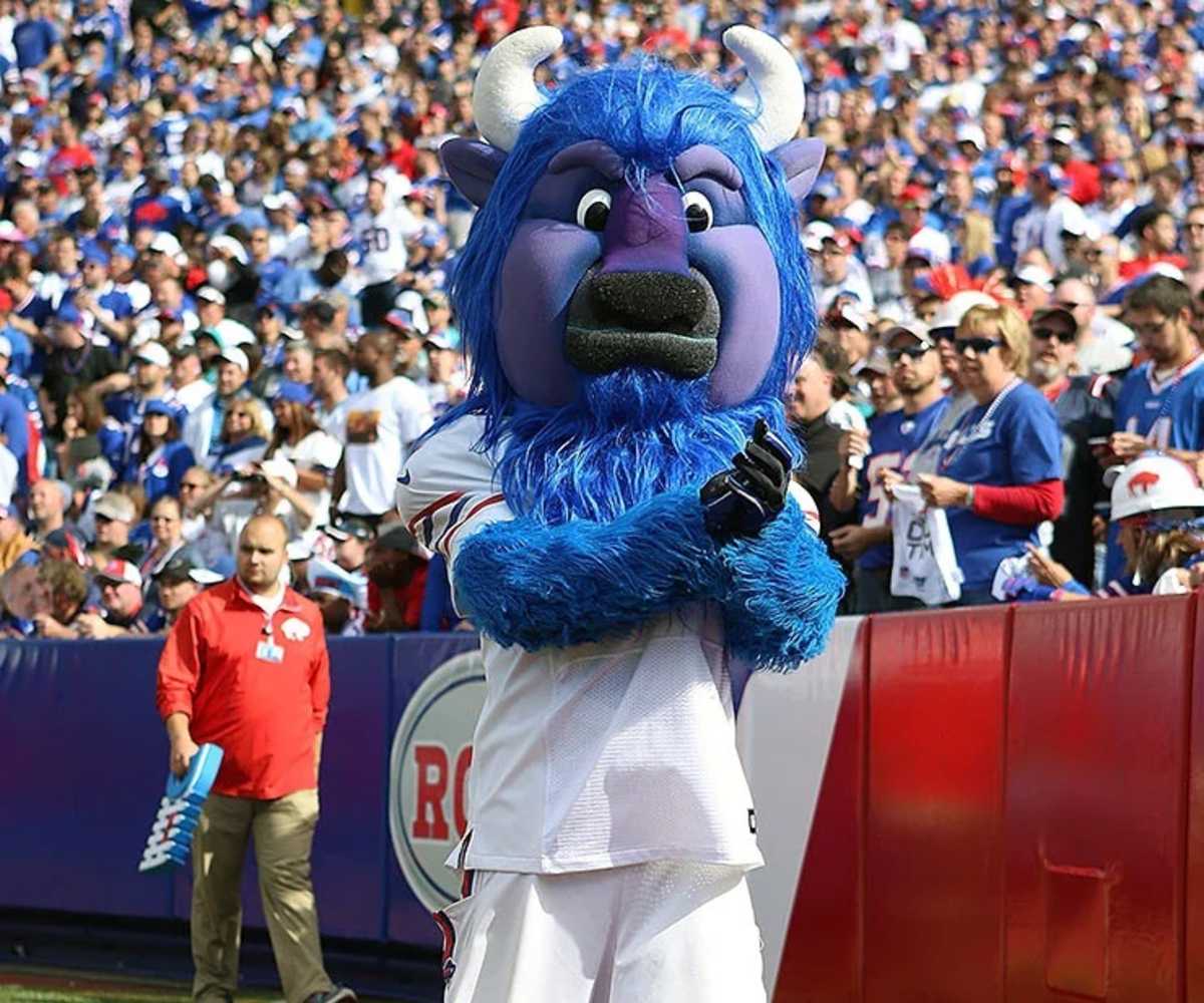 Which NFL Mascot Are You? - ProProfs Quiz