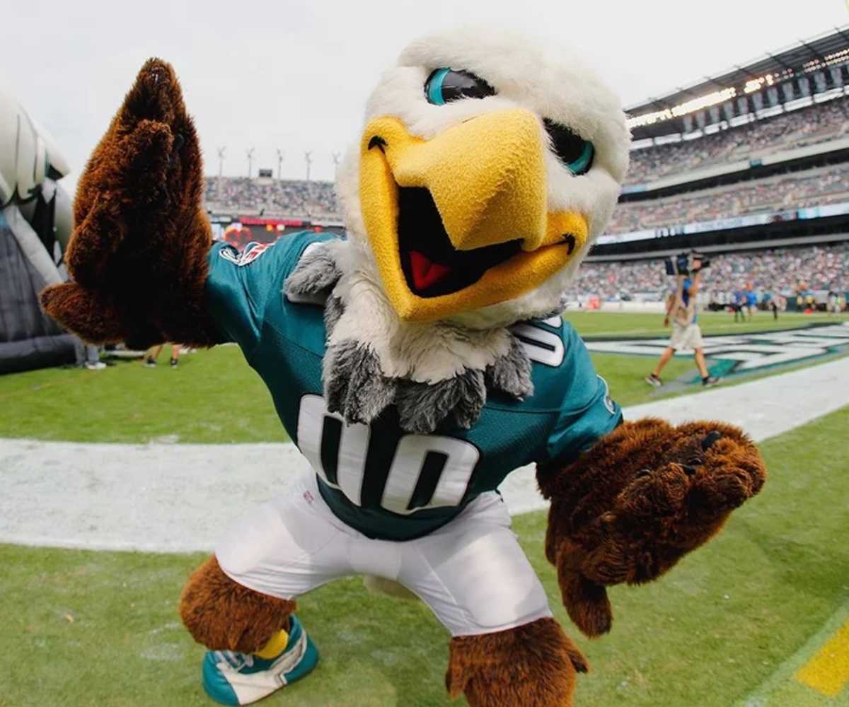 Real World NFL Mascots (Pictures) Quiz - By CDB1986