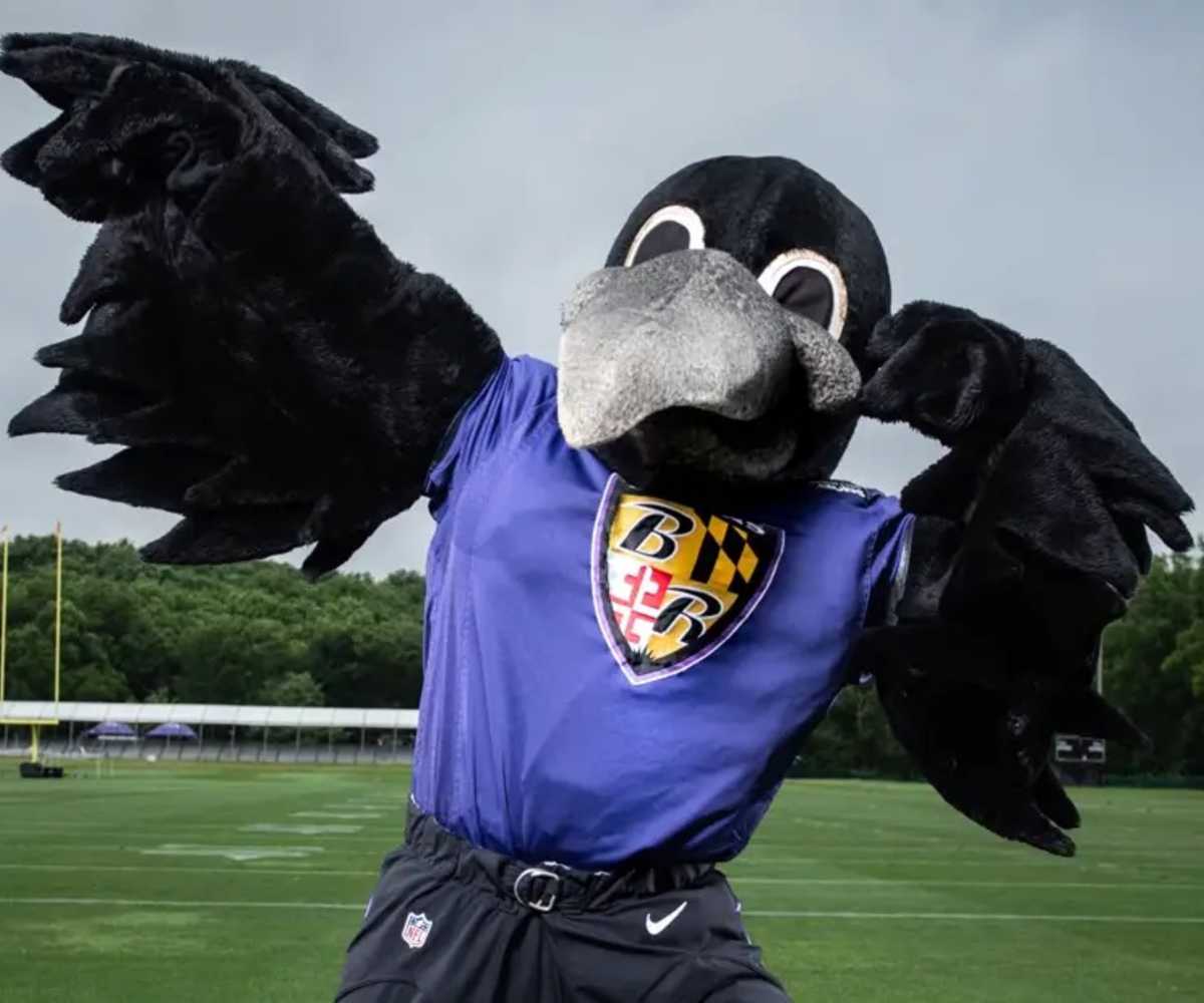 Which NFL Mascot Are You? - ProProfs Quiz