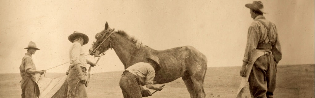 Rodeos, Wild West Shows, and the Mythic American West