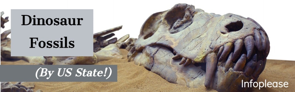 Dinosaur Fossils (By U.S. State!) | Infoplease