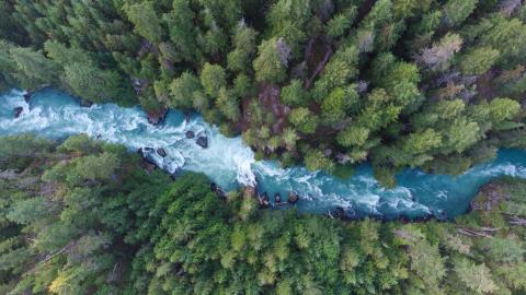 Longest rivers in the world